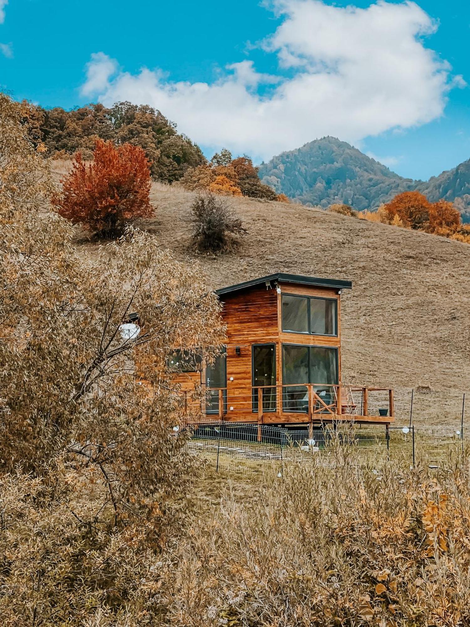 Roua By Noratlas Heritage - Adults Only Buzău Exterior photo